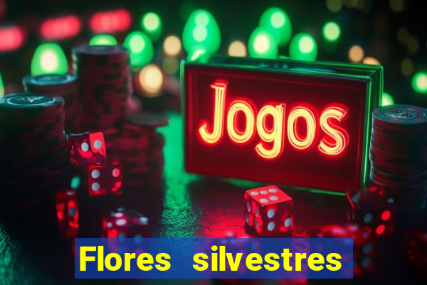 Flores silvestres brasileiras 25